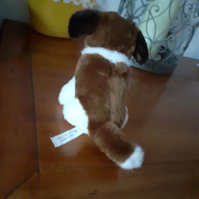 Peluche-doudou Chiot St Bernard *15 cm - photo numéro 8