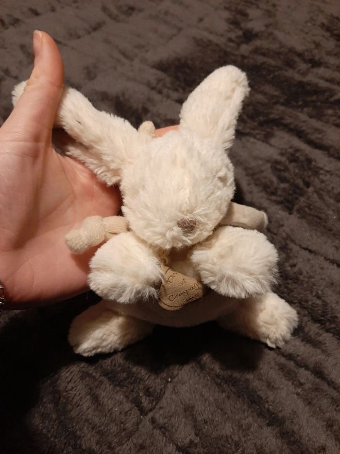 Doudou Lapin - photo numéro 10