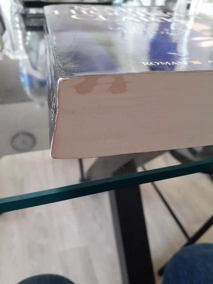 Livre roman - photo numéro 4