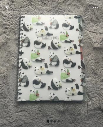 Bloc note spiral panda