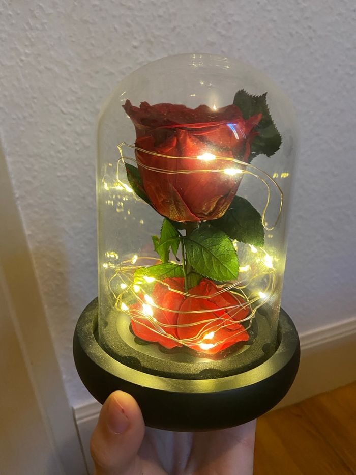 Rose éternelle rouge - photo numéro 3