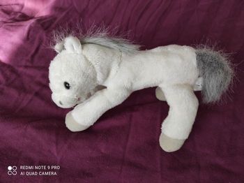 Petit cheval peluche