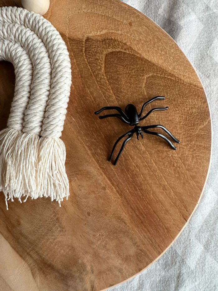 Bo araignée Halloween - photo numéro 2