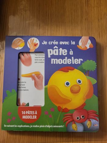 Livre idées pâte à modeler