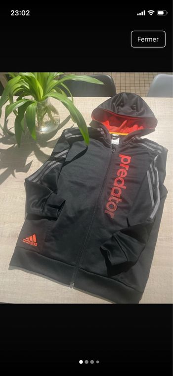 Veste adidas predator 