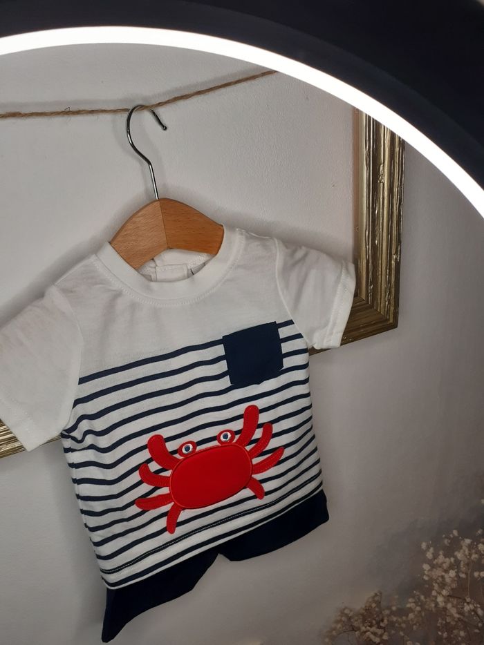 đłđEnsemble crabe - photo numĂ©ro 2