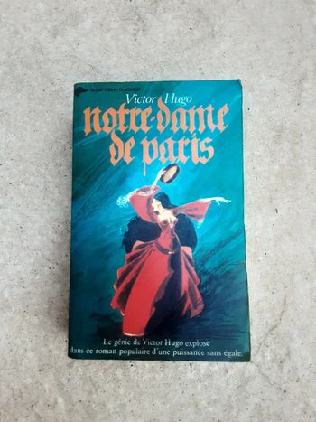 Livre Notre Dame de Paris de Victor Hugo
