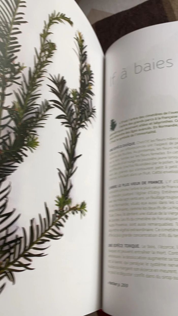 Livre mon herbier 48 plantes à connaître, à collectionner et à conserver tana éditions - photo numéro 6