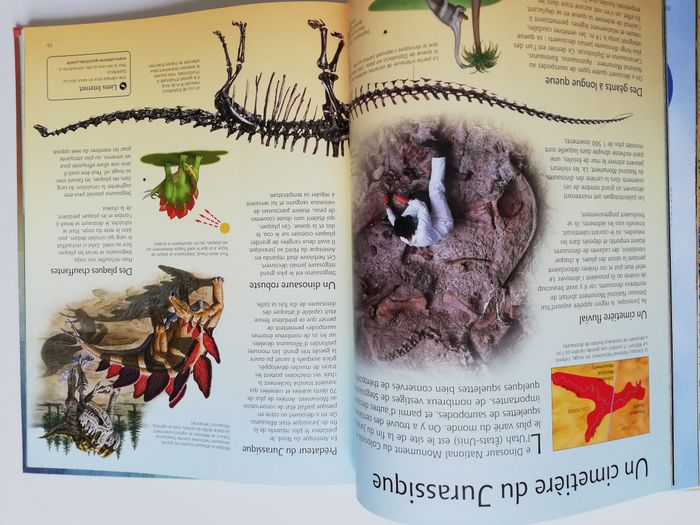 le grand livre des dinosaures - photo numéro 5