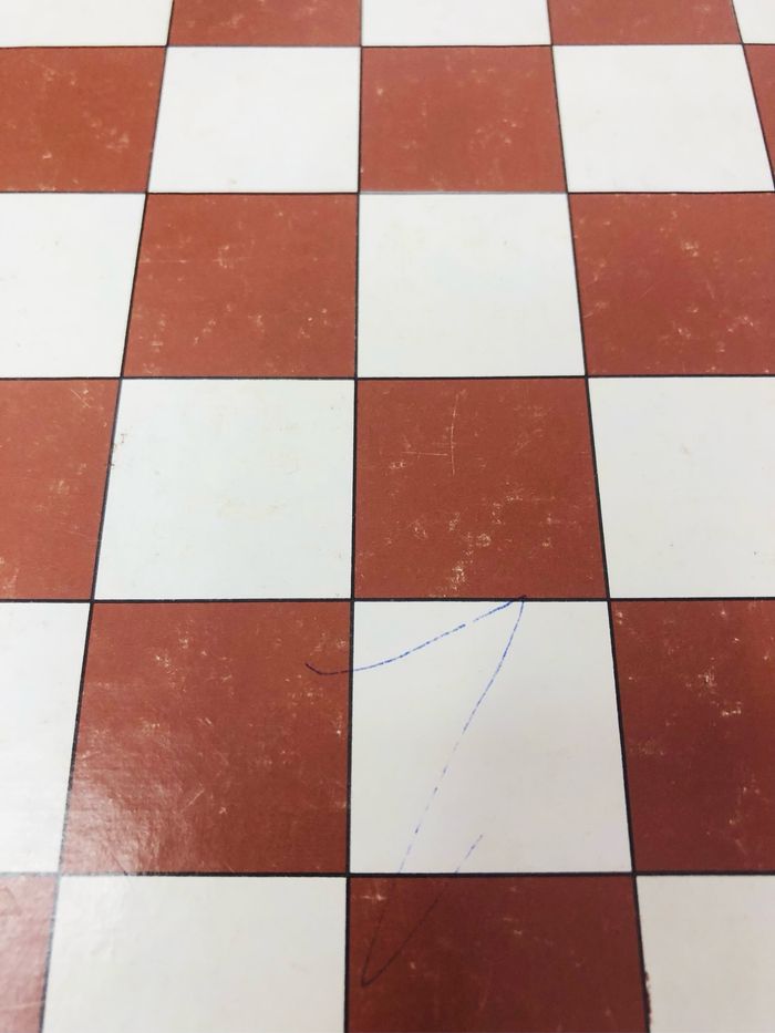 Initiation aux échecs - photo numéro 8