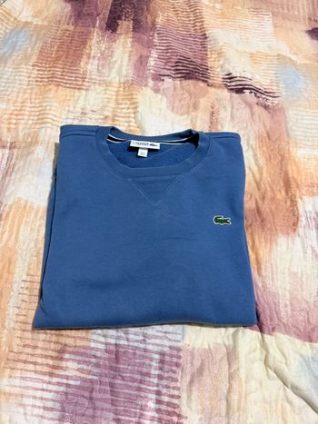 Pull lacoste