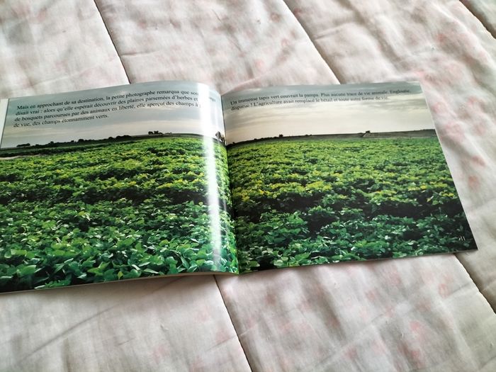 Livre Lily remporter en Uruguay - photo numéro 3