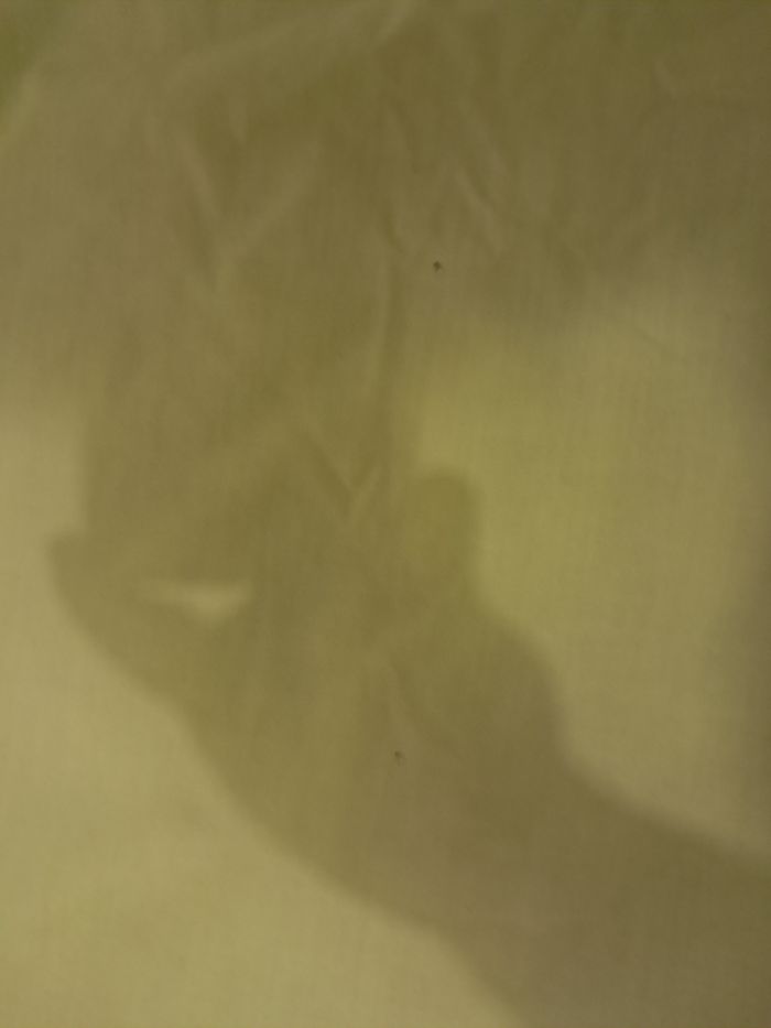 Tapis d'éveil - photo numéro 4