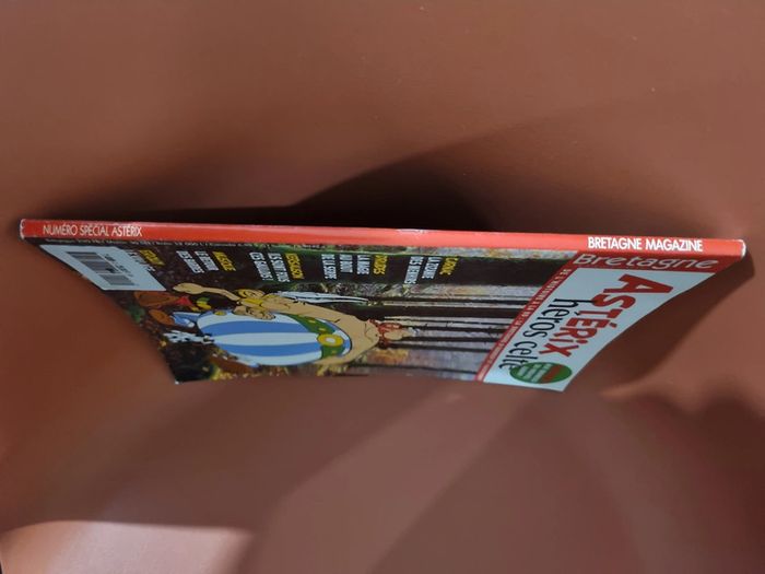 Astérix héros celte Magazine Bretagne - photo numéro 3