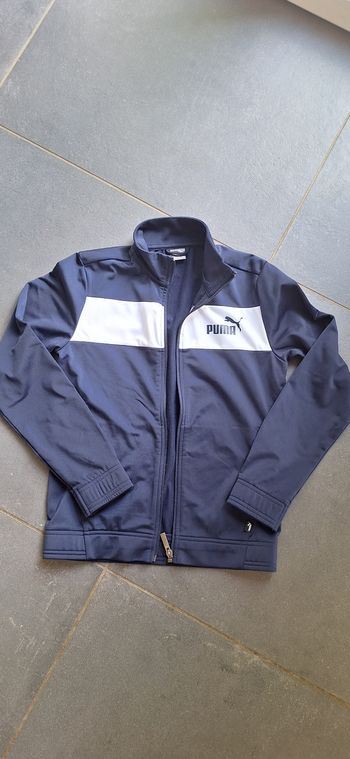 Veste puma