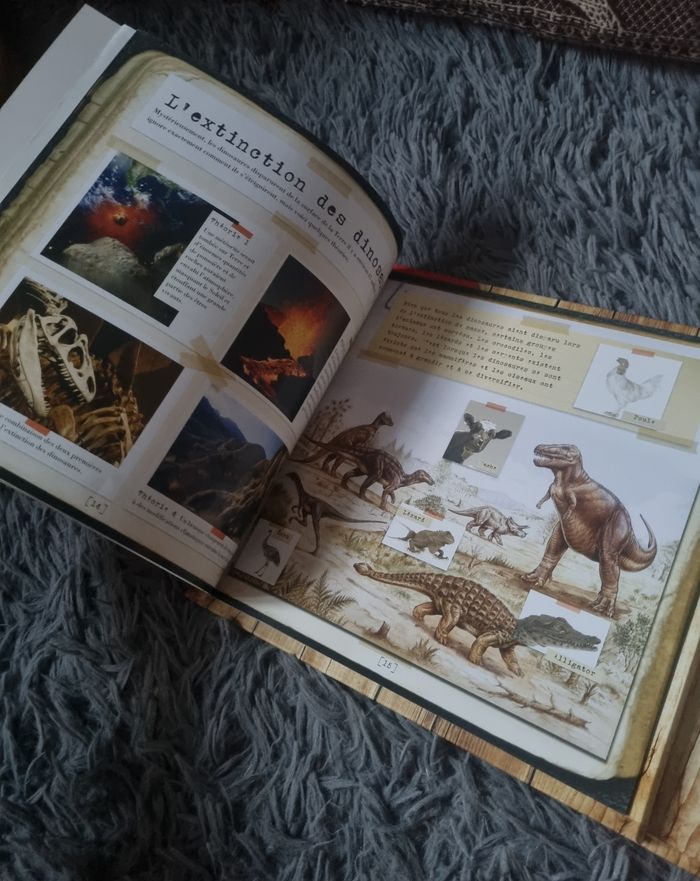Le Coffret d'un explorateur (un livre et une maquette) - photo numéro 3