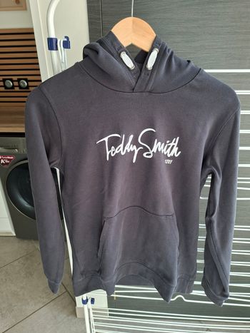 Pull a capuche Teddy  Smith