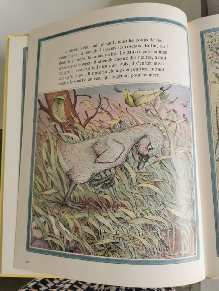 Le vilain petit canard éditions deux coqs d'or - photo numéro 6