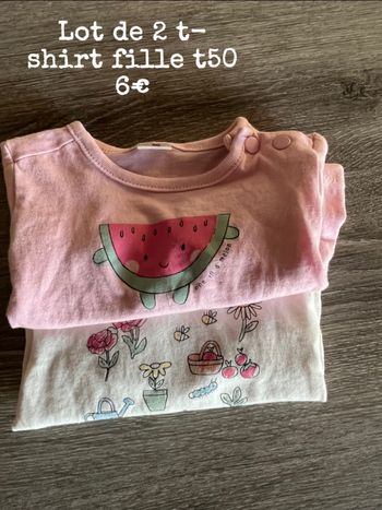 Lot 2 t-shirt fille