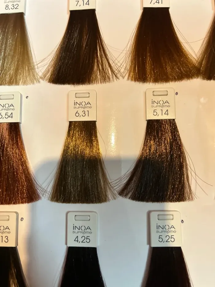 Mèches couleur inoa - photo numéro 10