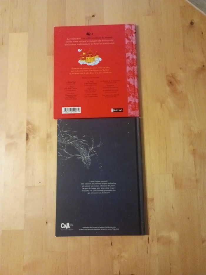Lot de deux livres - photo numéro 2