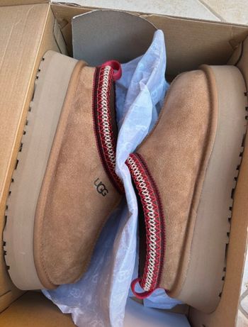 Ugg tazz marron