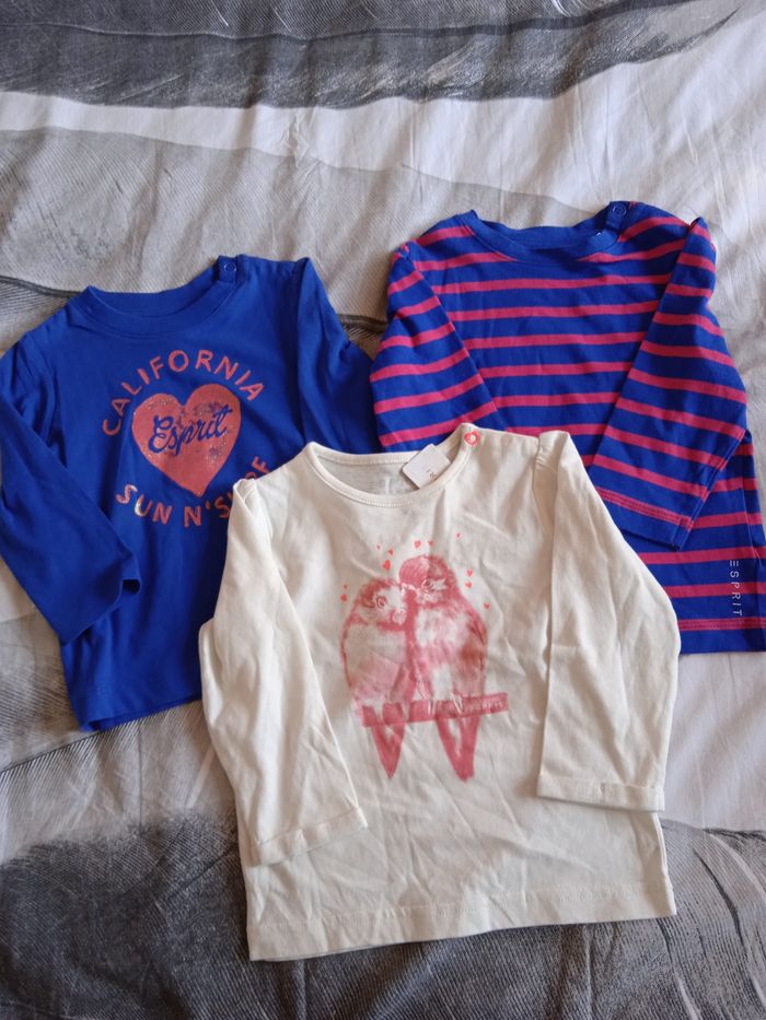 Lots de 3 sweats coton organic