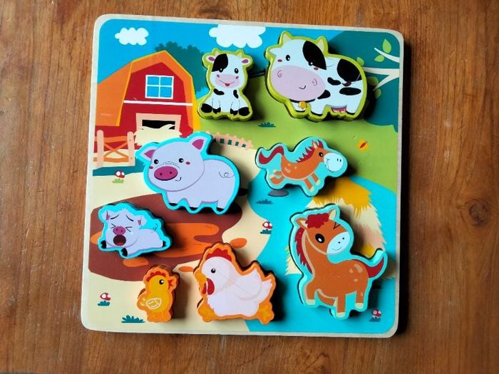 Jeu puzzle à encastrer