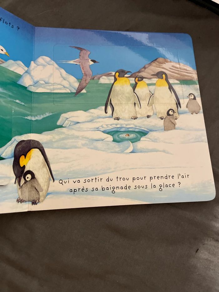 C’est comment - photo numéro 2