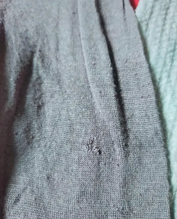 T-shirt a manches longues. Bulldog - photo numéro 5