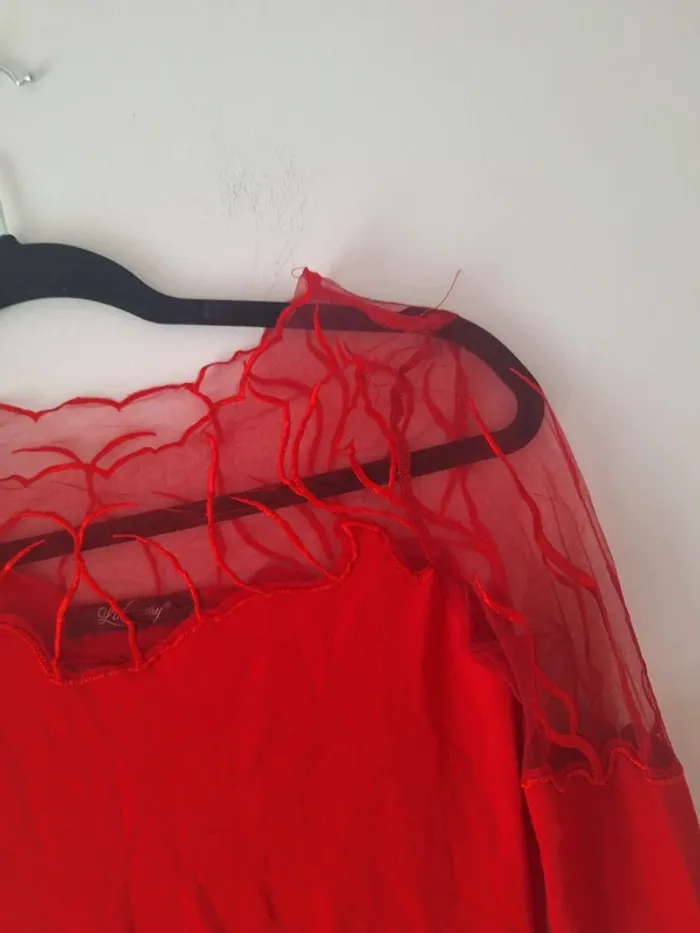 Haut rouge - photo numéro 2