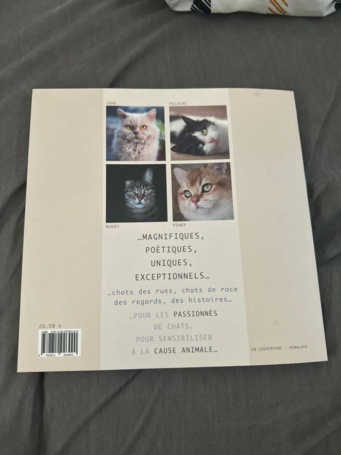 Livre - photo numéro 2