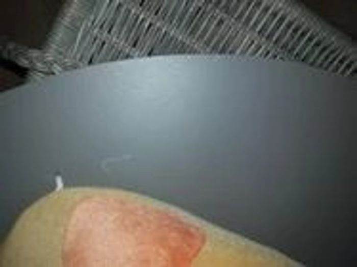 girafe - photo numéro 3