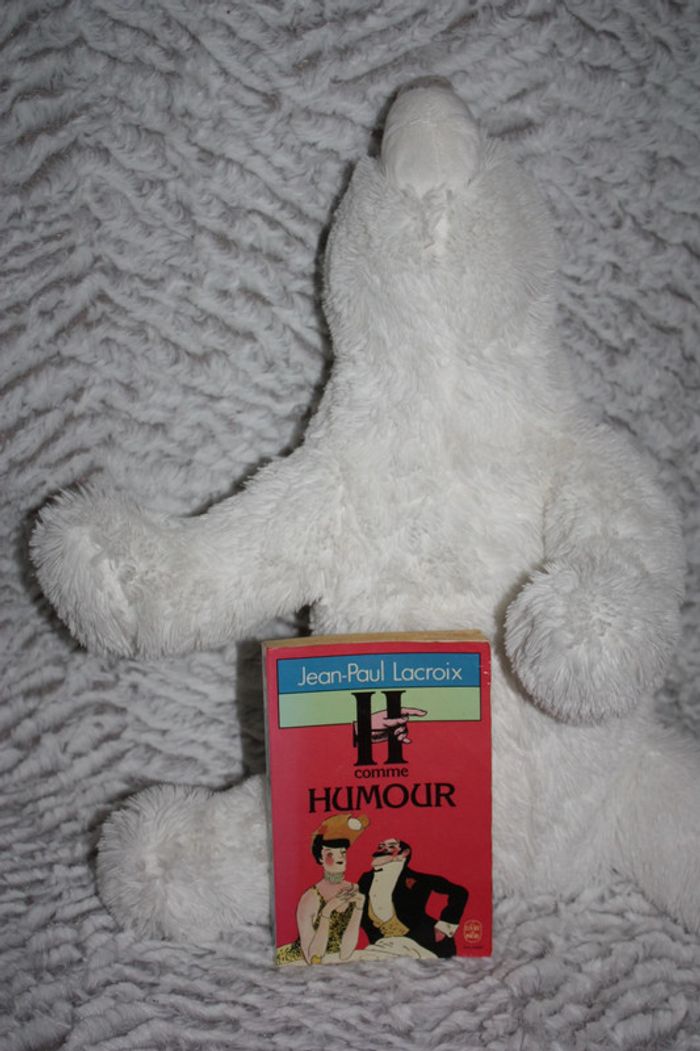 S comme sottise, H comme humour - photo numéro 2