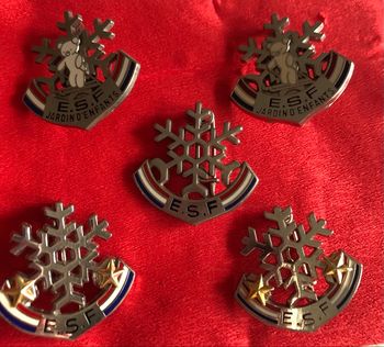 Insigne  médaille de l’Ecole  de  Ski Française ( au choix)