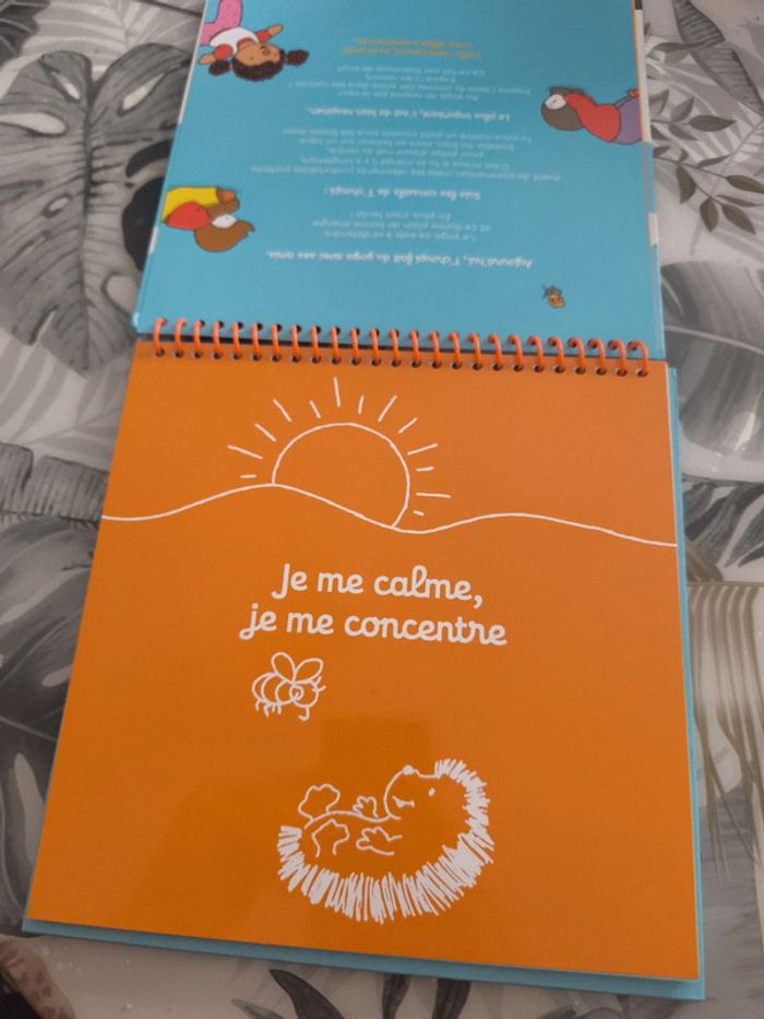 Album chevalet t'choupi petit yogi - photo numéro 2