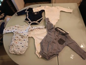 Lot 5 bodies