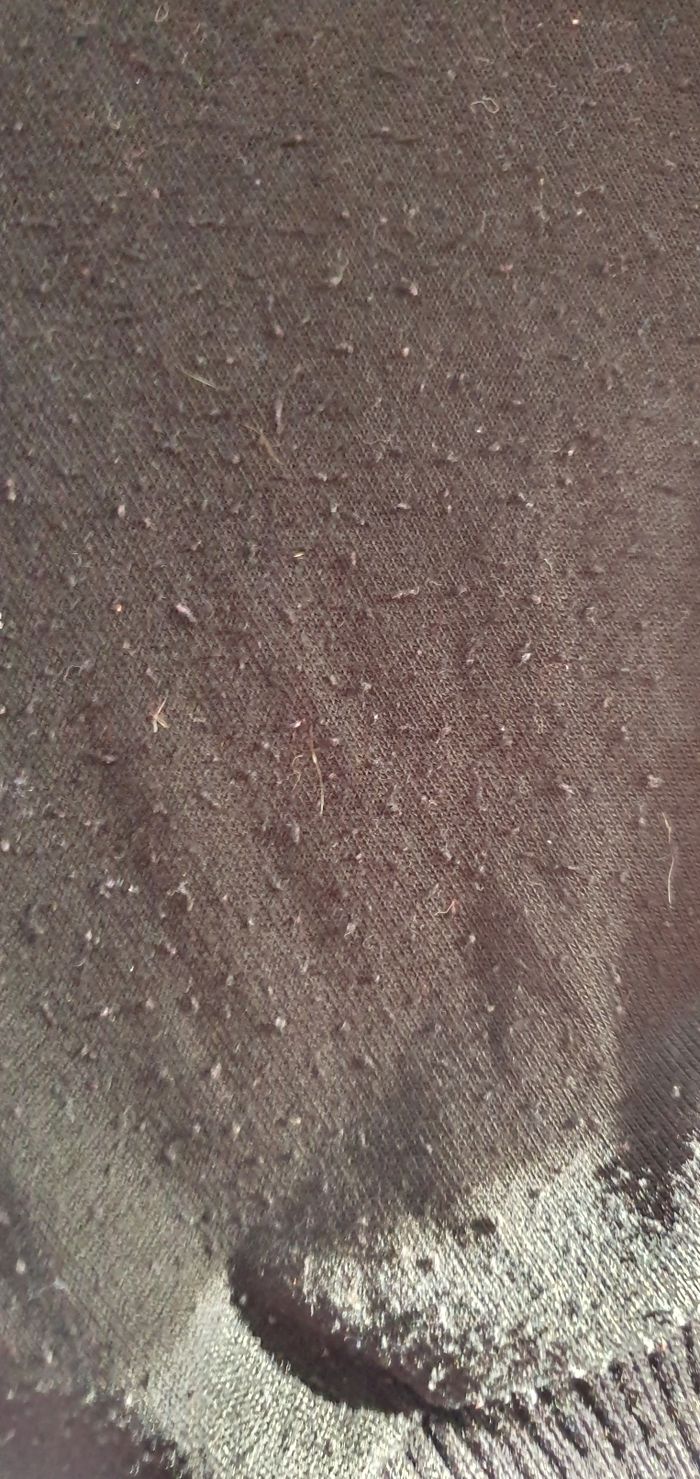 Tunique - photo numéro 8