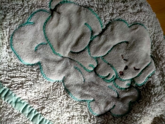 Capes de bain bébé - photo numéro 3