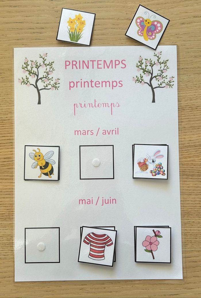 Lot 4 fiches Montessori : Les saisons - photo numéro 6