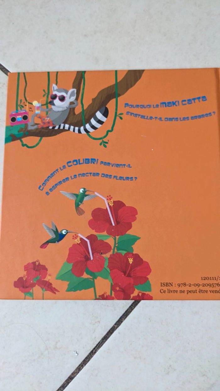 Lot de 2 livres 6-7 ans ralette fait du camping - photo numéro 7