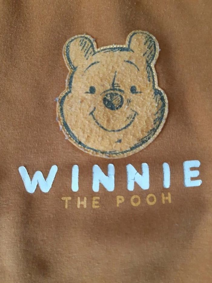 Pull chaud Winnie 24 mois Disney - photo numéro 2