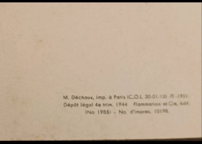 Ancien livre Le roi chat 1944 collection Les petits Père Castor - photo numéro 9