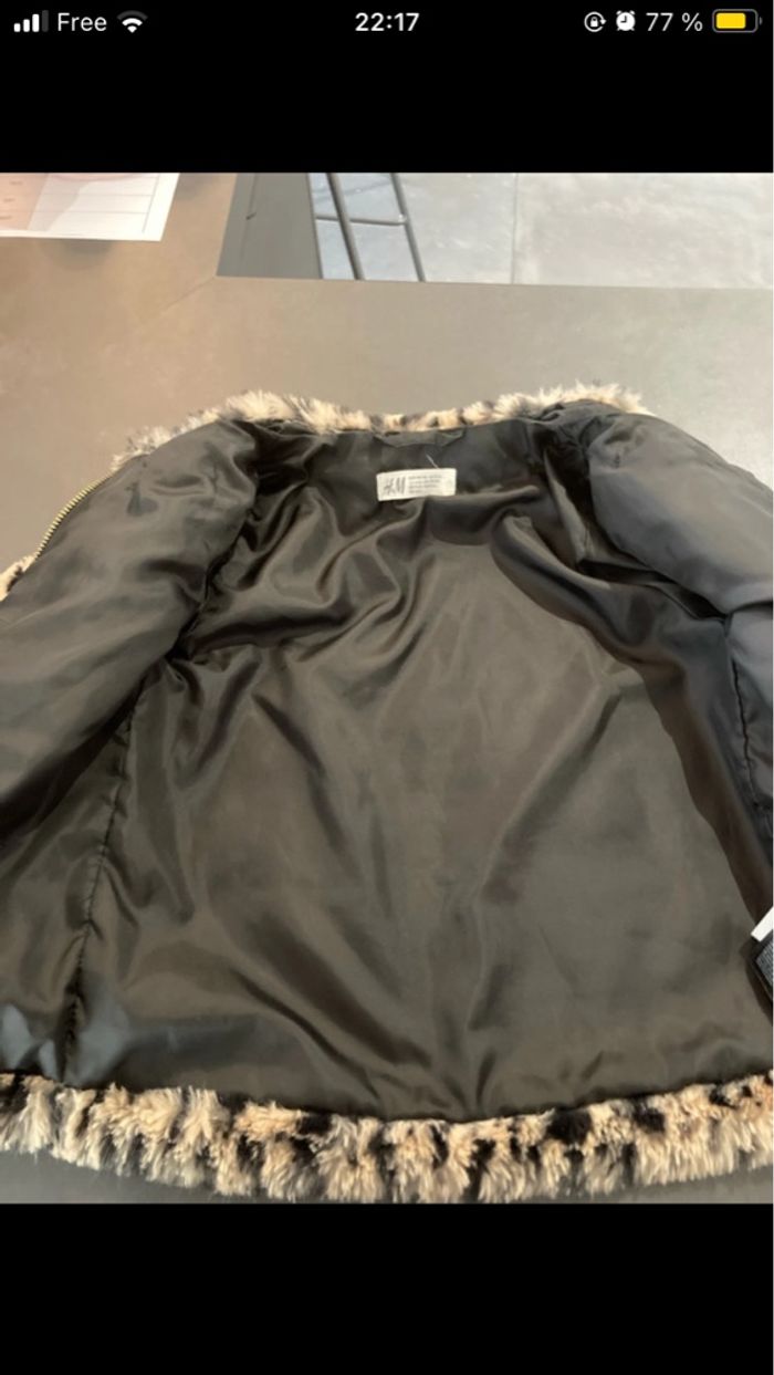 Veste - photo numéro 2