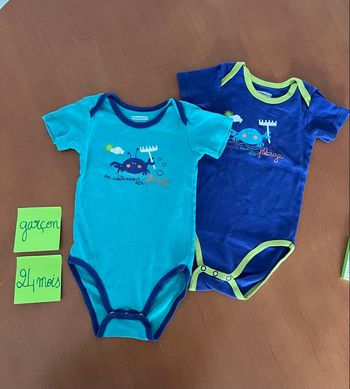 Lot de 2 bodies Pommette