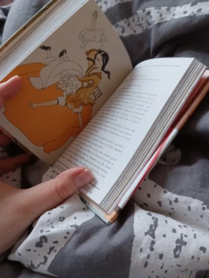 Livre "les malheurs de Sophie comtesse de Ségur " - photo numéro 8