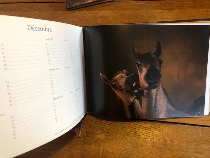 Agenda 2007 chevaux - photo numéro 4