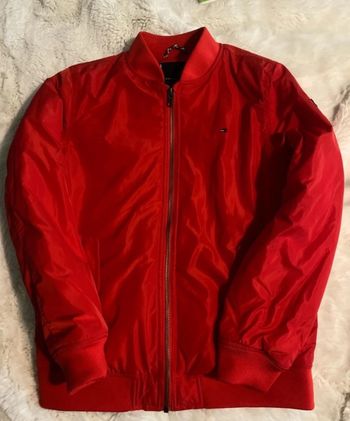 Blouson tommy hifilger