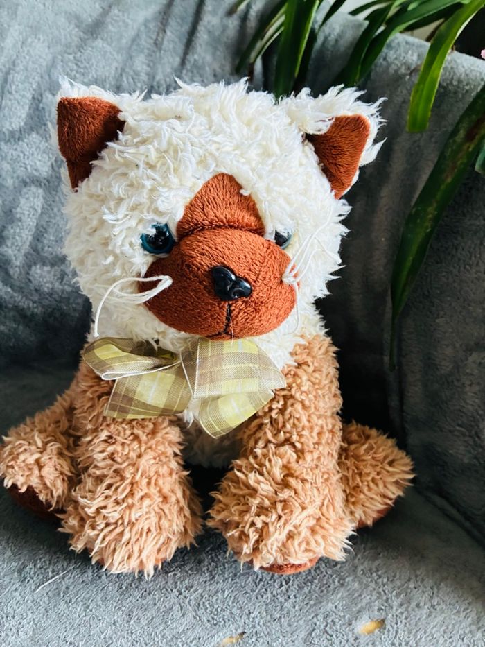 Lot peluches chat - photo numéro 7