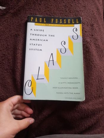 Livre en anglais à guide through the american status system p a